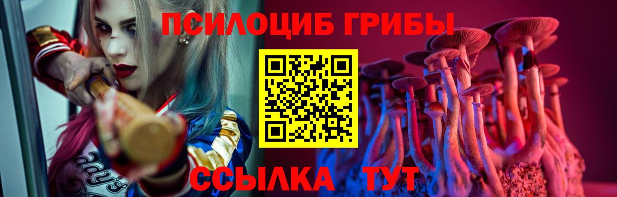 Галлюциногенные грибы мицелий Артёмовский